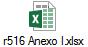 r516 Anexo I.xlsx