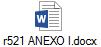 r521 ANEXO I.docx