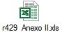 r429 Anexo II.xls