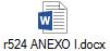 r524 ANEXO I.docx
