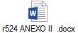 r524 ANEXO II .docx