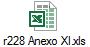 r228 Anexo XI.xls