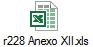 r228 Anexo XII.xls