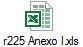 r225 Anexo I.xls
