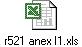 r521 anex I1.xls