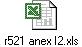 r521 anex I2.xls